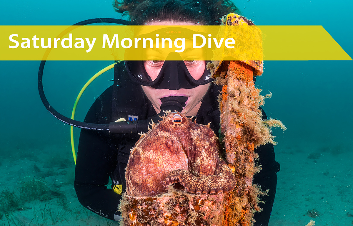 Saturday 29th November | Saturday Morning Dive