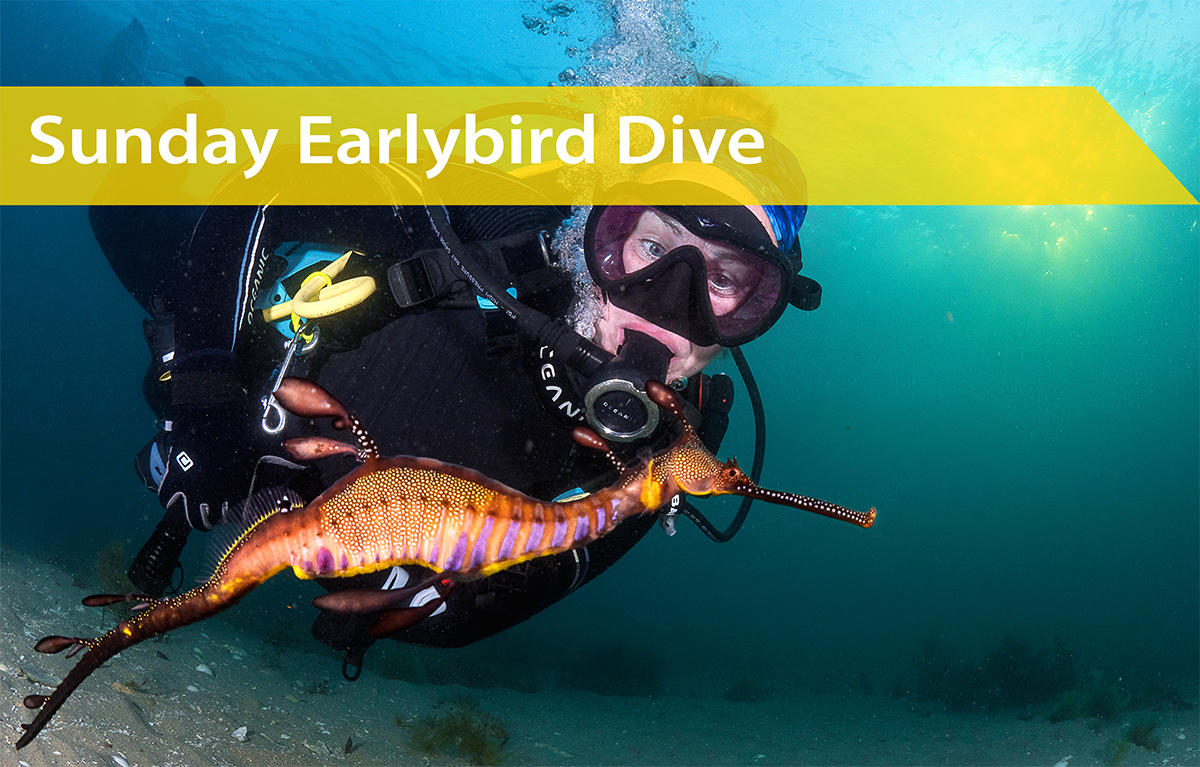 Sunday 7th December | Earlybird Dive
