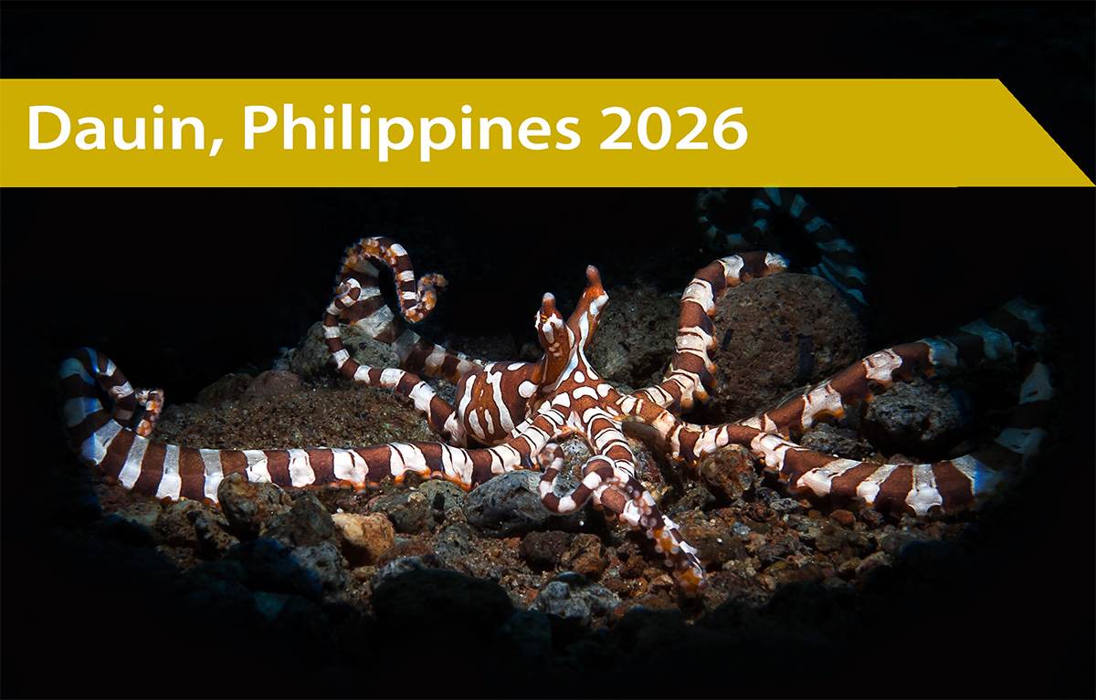 Dumaguete Philippines Sep 2026