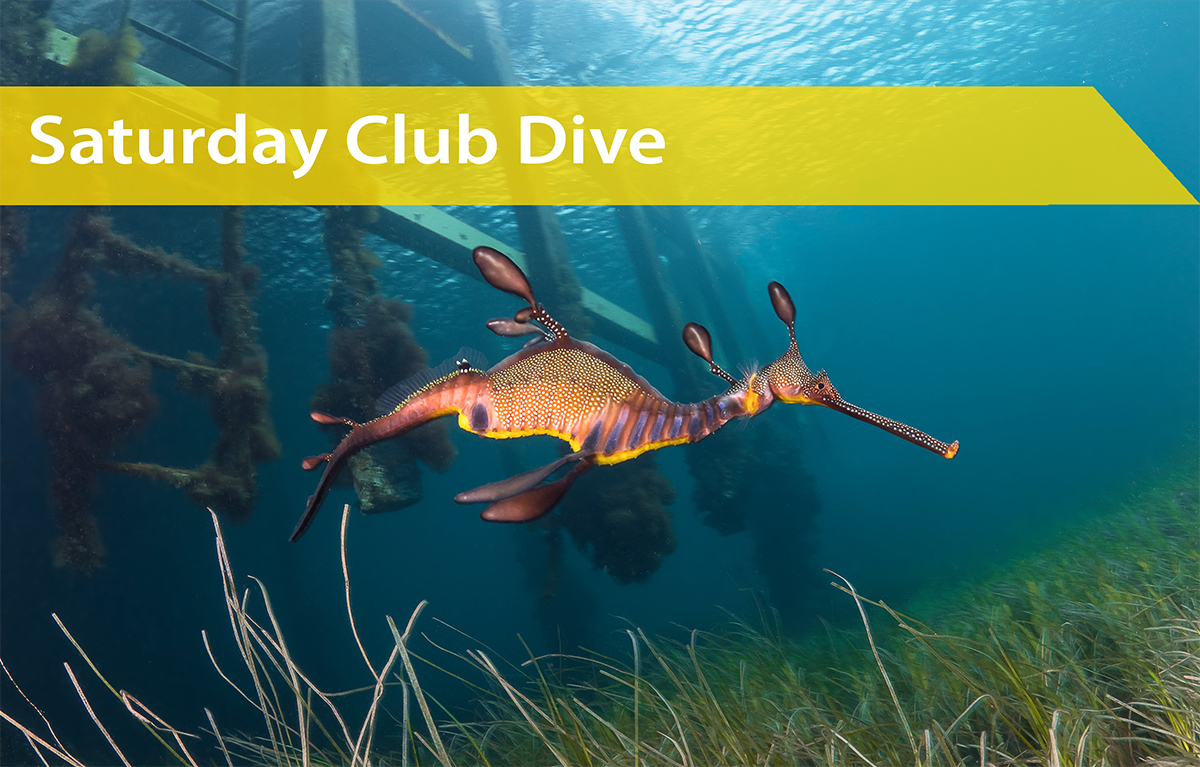 Saturday 2nd of May | Saturday Afternoon Dive