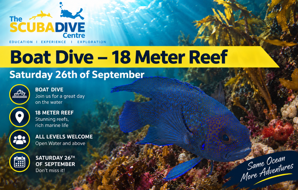 Saturday 26th of September | Saturday Boat Dive