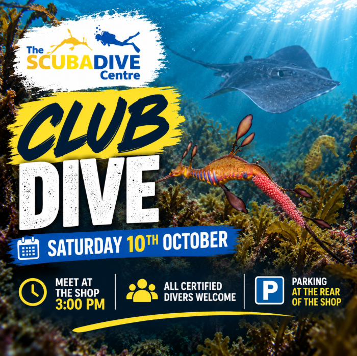 Saturday 10th of October | Saturday Afternoon Dive