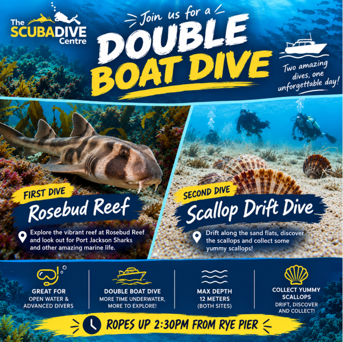 Saturday 10th October | Rosebud Reef & Scallop Drift Dive