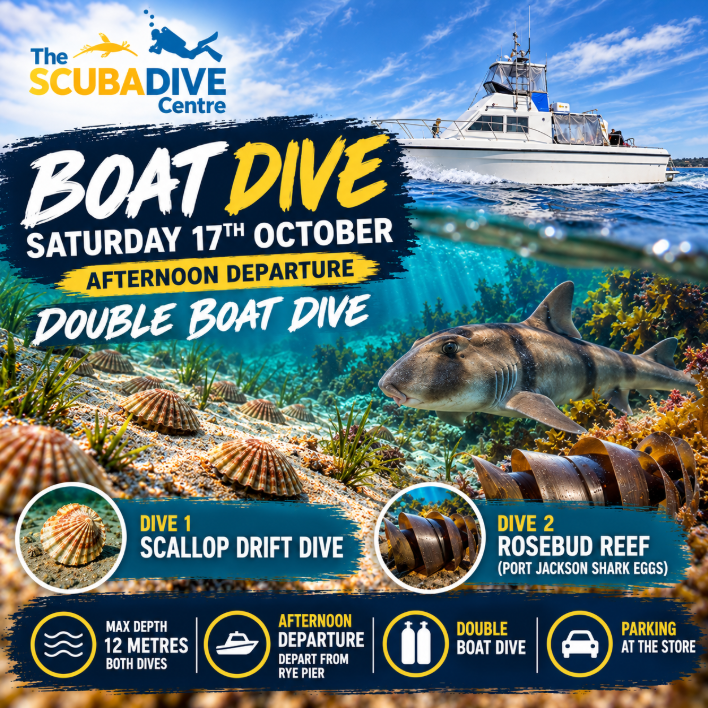 Saturday 17th October | Rosebud Reef & Scallop Drift Dive