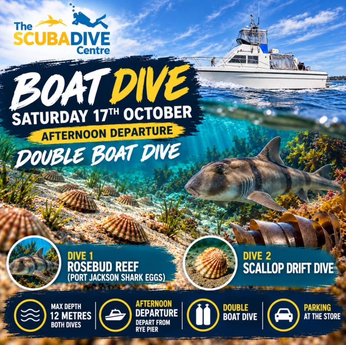 Saturday 17th October | Rosebud Reef & Scallop Drift Dive
