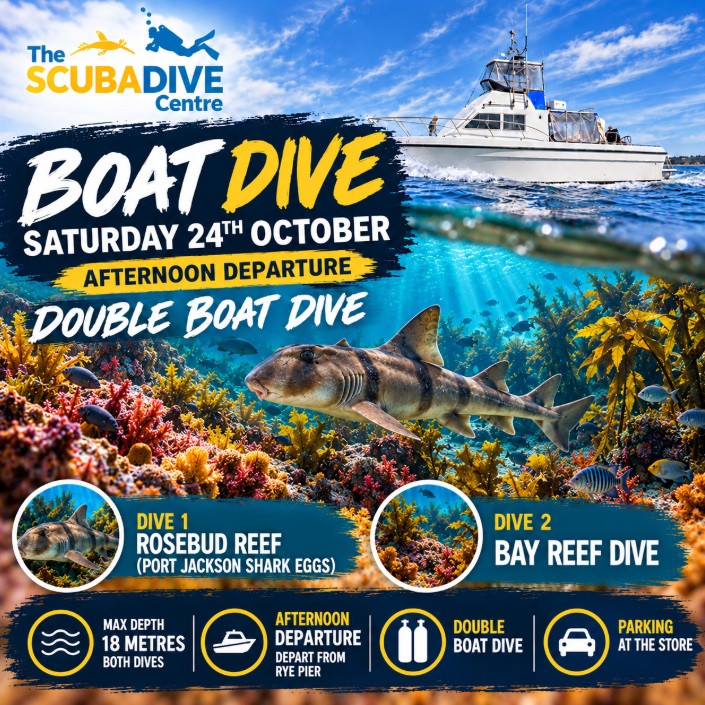Saturday 24th October | Single or Double Boat Dive