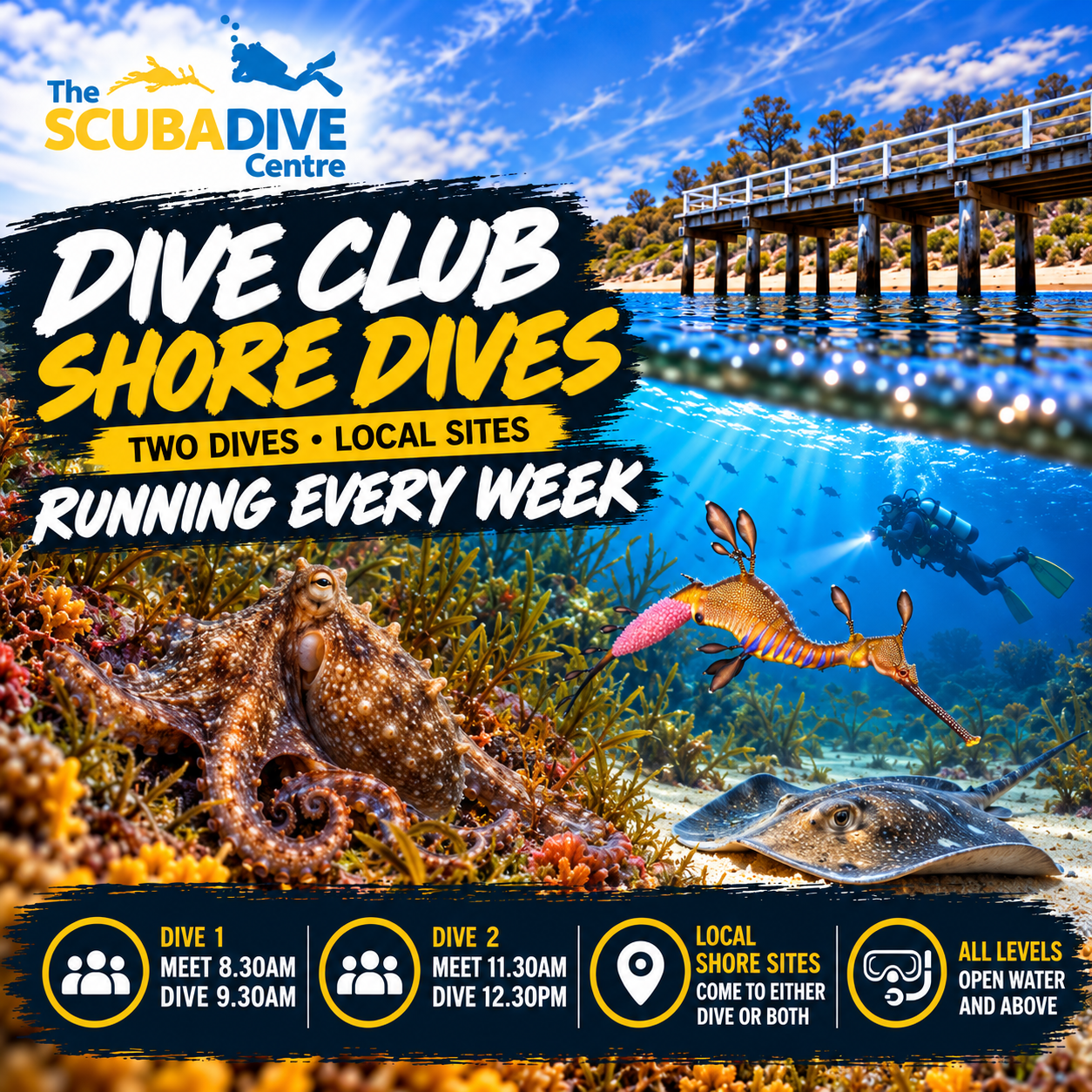 Saturday 7th November | Double Club Shore Dive