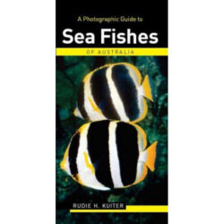 A Photographic Guide To Sea Fishes Of Australia
