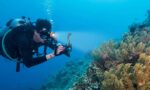 OrcaTorch D900V Dive Light