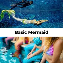 Basic Mermaid eLearning
