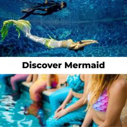 Discover Mermaid eLearning