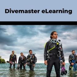 Divemaster Digital Crew-Pak w/ Slates, Pro Bag & eLearning