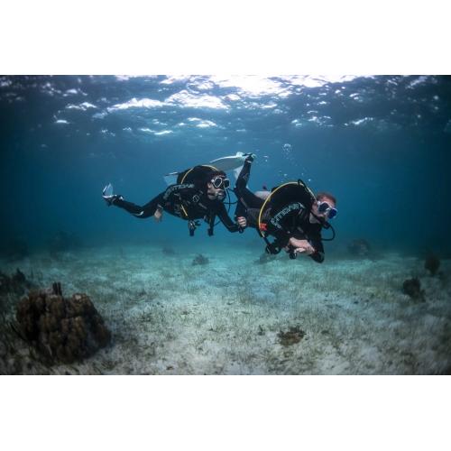 Private Open Water Dives 1-4