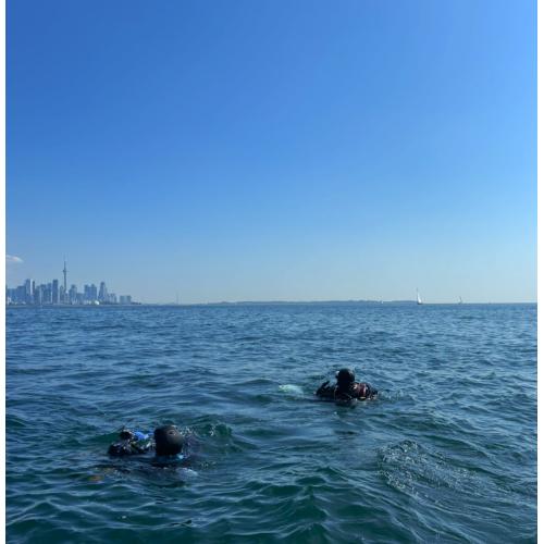 Private Shore Dive - Single
