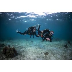 Private Open Water Dives 1-4