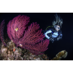 Advanced Open Water Course