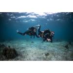 Private Open Water Dives 1-4
