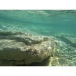 Private Shore Dive - Two Tank