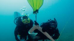 Search & Recovery Diver eLearning