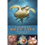 Caribbean Reef Life