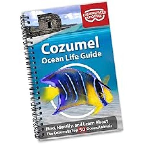 Cozumel Ocean Life Guide