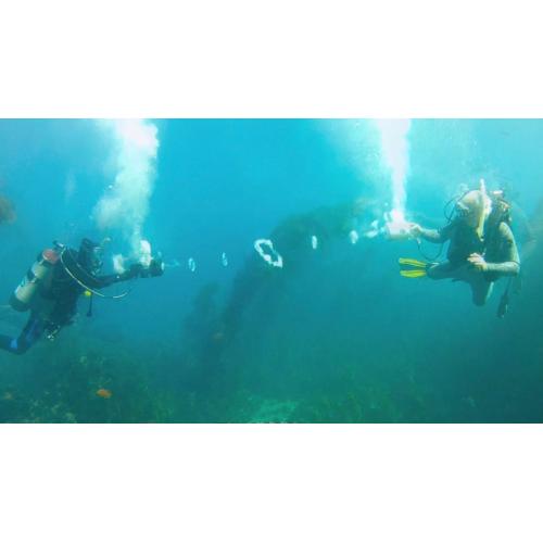 Torid pulse air ring gun Torid pulse air ring gun