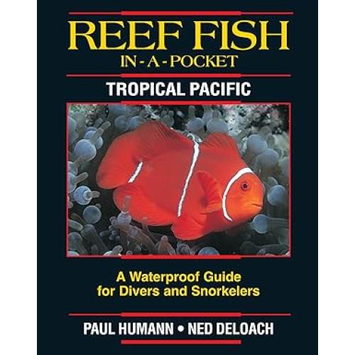 Reef Fish-In-A Pocket Tropical Pacific