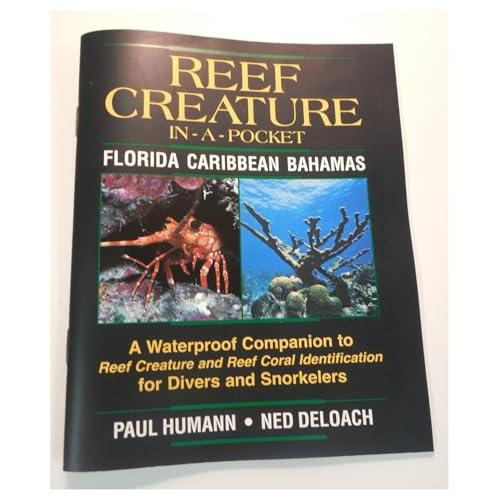 Reef Creature-In-A Pocket Florida Caribbean Bahamas