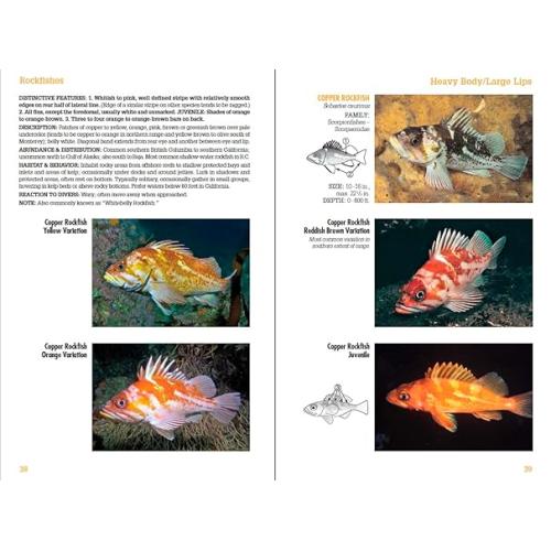 Coastal Fish Identification: California to Alaska