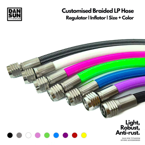Customised Braided LP Side Mount 9 inch Quick Disconnect Hose