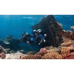 Tec 40 eLearning Crew Pak