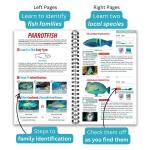 South Pacific Ocean Life Guide