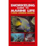 Snorkeling Guide to Marine Life: Florida Caribbean Bahamas