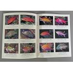 Reef Fish-In-A Pocket Tropical Pacific