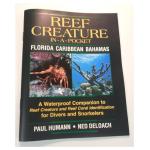 Reef Creature-In-A Pocket Florida Caribbean Bahamas