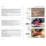 Coastal Fish Identification: California to Alaska