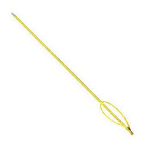 6' Pole Spear