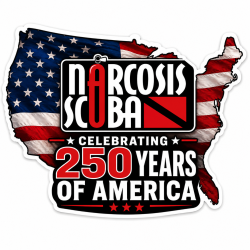 NSC Celebrate 250yrs America Sticker