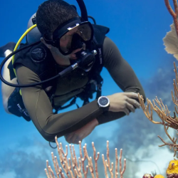 1-Year Elite Membership