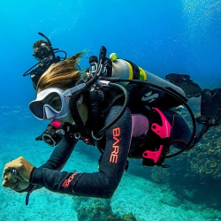 1-Year Basic Membership