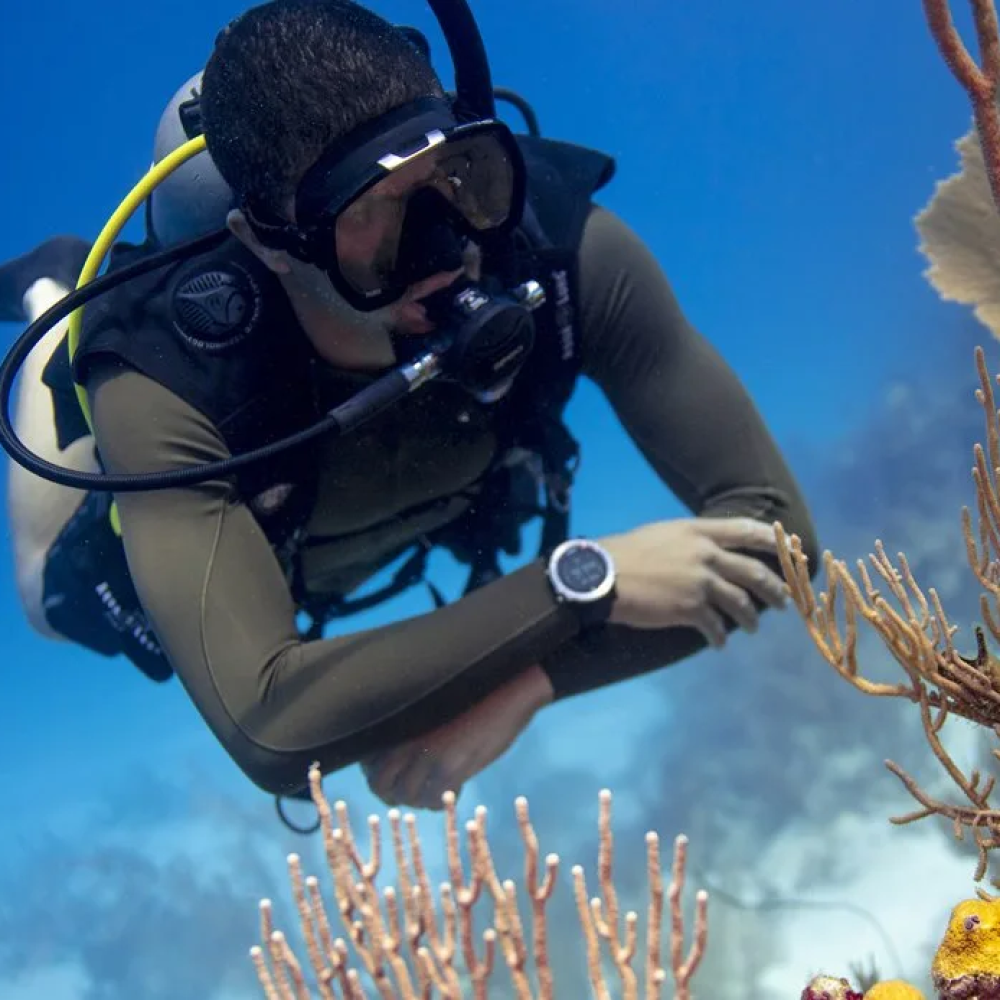 1-Year Elite Membership 1-Year Elite Membership