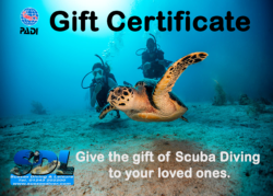 Discover Scuba Gift Card