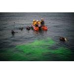 Pandora Lab K1 Rescue Dive Torch