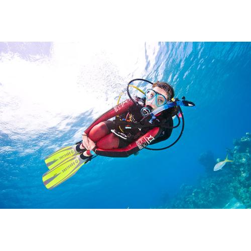 Peak Buoyancy Diver Private
