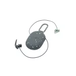 SURF EARS 4.0 BLACK / SAGE