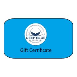 Gift Certificate