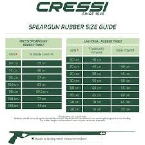 Gun Rubber w/Quick Bridle 16mm