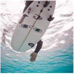 Shark Deterrent Clear Decal
