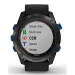 Garmin Descent MK2i Computer