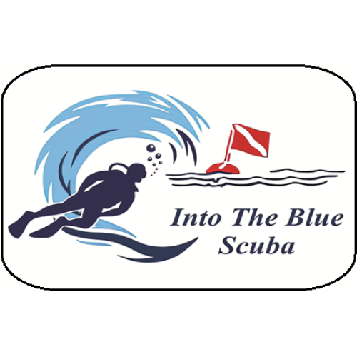 Into the Blue Scuba eGift Card